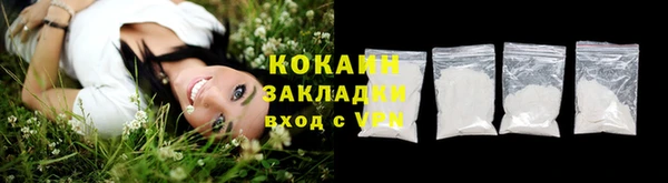 шишки Вязьма