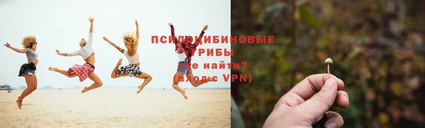 MESCALINE Вяземский