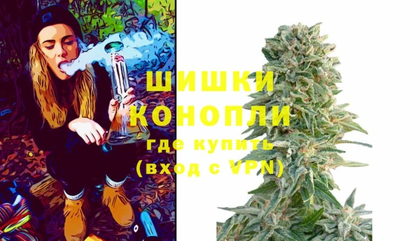 шишки Вязьма