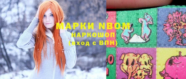 шишки Вязьма