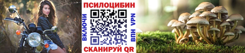 Псилоцибиновые грибы Psilocybe Ильский