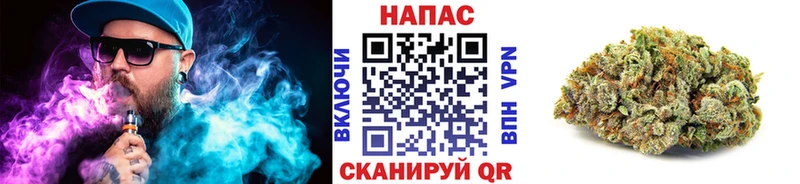 Шишки марихуана сатива  Ильский 